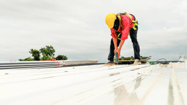 Best Gutter Installation and Repair  in Homestead, FL