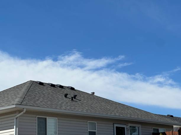Gutter Replacement in Homestead, FL